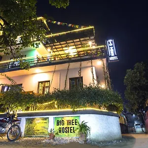 big-tree.hotels-kathmandu.com/